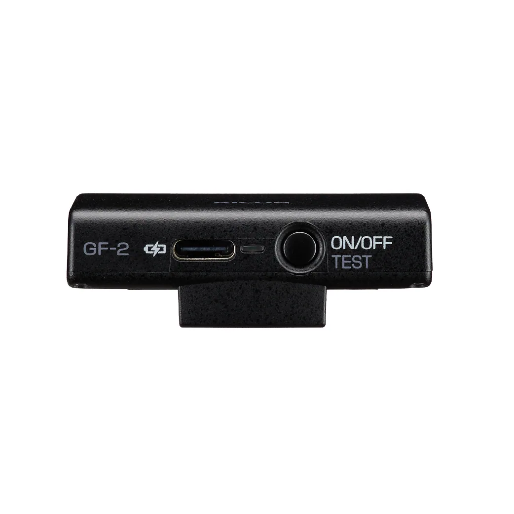 Ricoh GF-2 External Flash