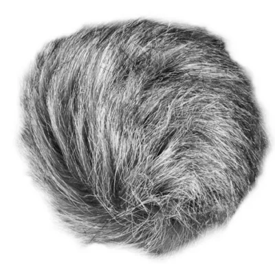 Zoom WSU-1 Hairy Windscreen