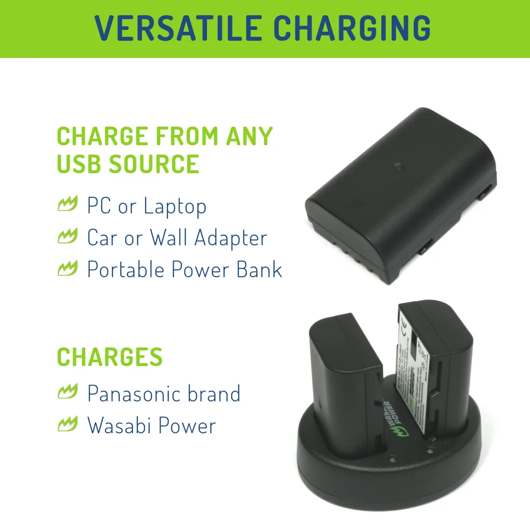Wasabi Power Battery and Dual USB Charger for Panasonic DMW-BLF19 (2-Pack)